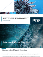 Saltwater Enviroment