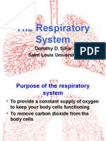 The Respiratory System: Breathing Life Into Your Body