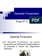 Gerente Financiero Mapa Mental