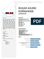 CV SIAP.pdf
