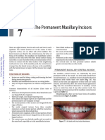 Dental Anatomy Rashmi G S Phulari Pages 128 291 PDF