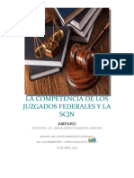 LA COMPETENCIA DE LOS JUZGADOS FEDERALES Y LA SCJN.docx