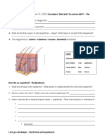 Dermis Worksheet