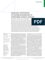 Delmas 2011 - Artigo de Revisão Sobre A Mecanotrandução em Mamiferos - Revista Nature