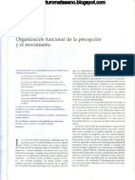 Capitulo 18 - Organización funcional de la percepción y el movimiento.pdf