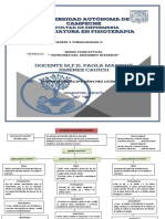 Mapa Conceptual Miembro Inferior PDF