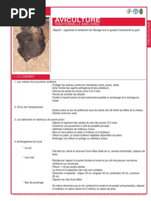Aviculture Traditionnelle Am Lior e  PDF  Poulet  Aviculture