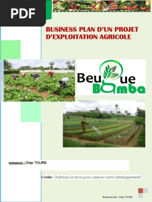 Business Plan 1564920344 Pdf Pdf Analyse Swot Oignon