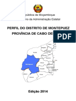 Montepuez PDF