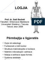 L2 - Ossa Membri Superioris