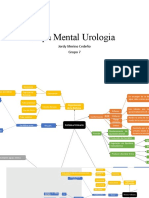 Mapa Mental Urologia