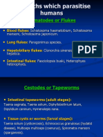 Helminths Which Parasitise Humans