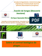 Quesadaibizai PDF