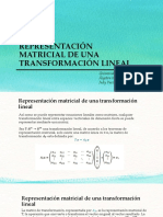 Representación Matricial de Una Matriz PDF
