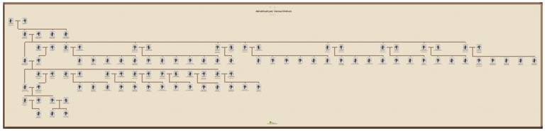 Mahabhashyam Family Tree Overview | PDF