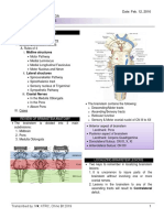 Brainstem Lesions Trans 2019 PDF