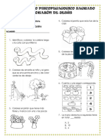 Evaluacion IIP Transicion