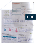 Tarea 8 CCNN PDF