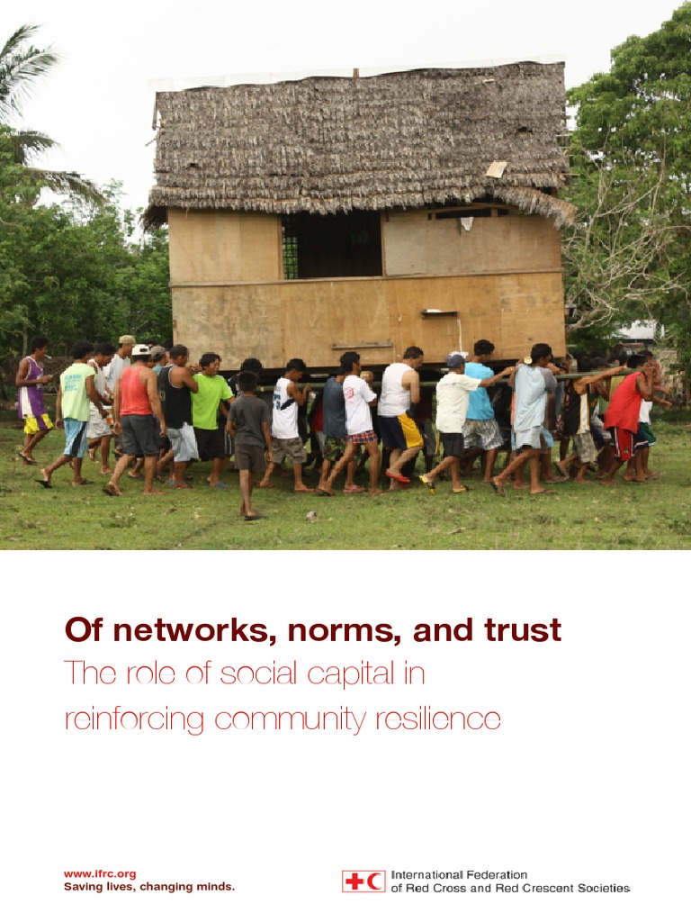 Of Norms Networks and Trust - The Role of Social Capital in Reinforcing ...