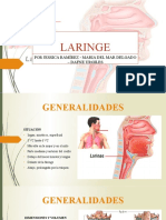 Anatomía y funciones de la laringe