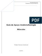 161-guc3ada-de-apoyo-anatomofisiologc3ada-mc3basculos.pdf