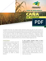 ficha_cana_de_azucar_version_ii.pdf