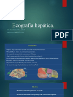 Ecografia Hepatica