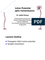 Action Potential Synapse HB 10 Sep 2010