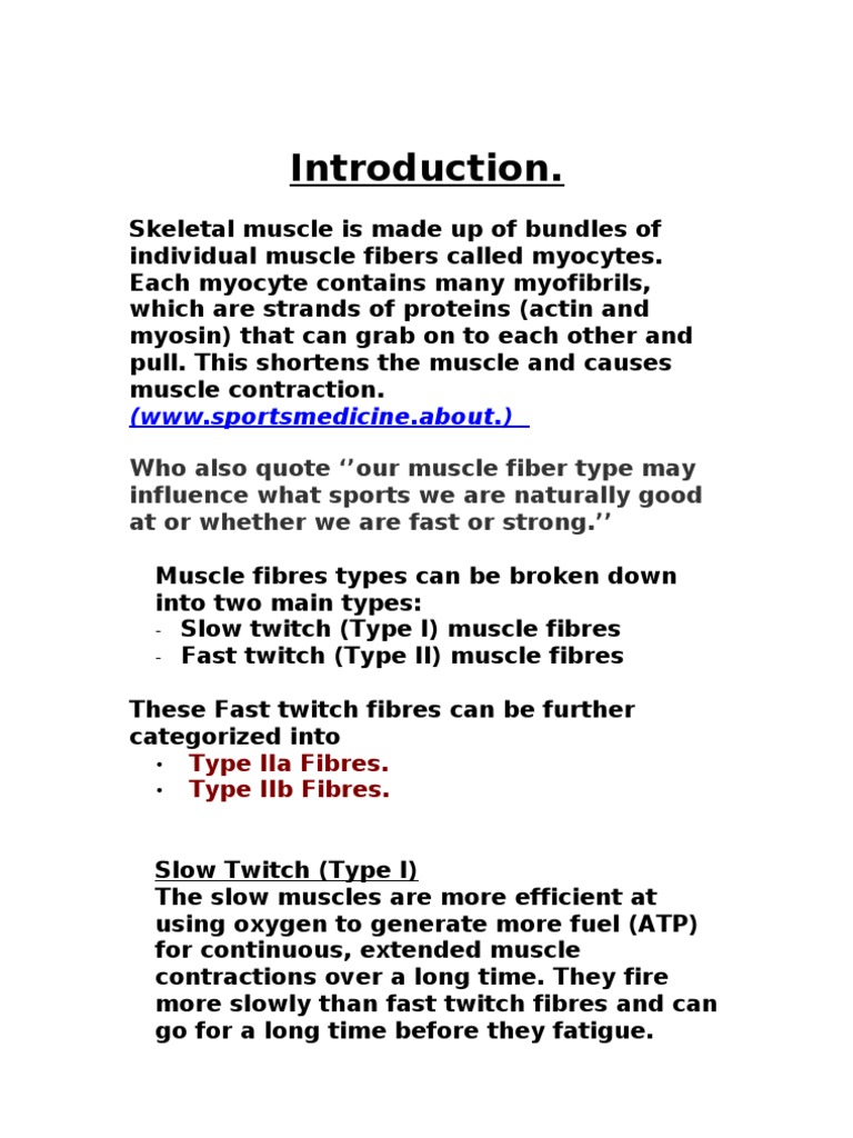 Muscle Fiber Types in Netball Players | PDF | Myocyte | Skeletal Muscle