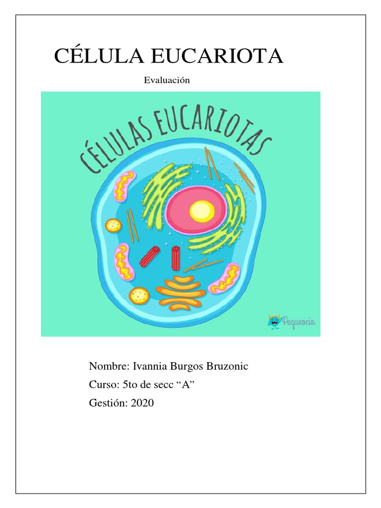 Estructura y Función de la Célula Eucariota | PDF | Citoplasma ...