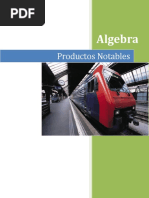 Productos Notables (Teoria y Ejercicios) PDF