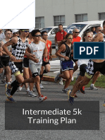 Intermediate PDF