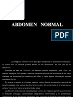 abdomen-tc.pdf