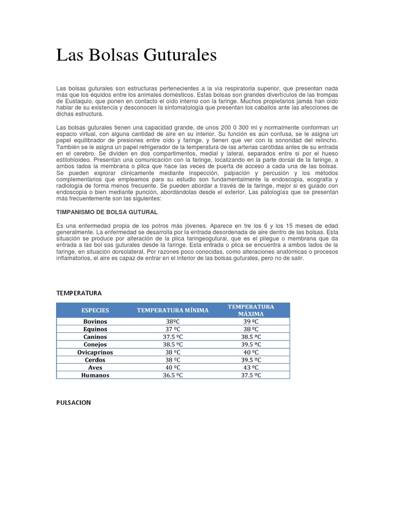 Las Bolsas Guturales PDF