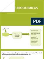 Series Bioquímicas2