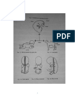 Embriologia (Cap 1-7) Solo Dibujos PDF