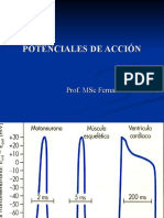 Potenciales de Acción