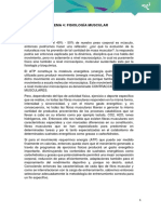 Tema 4 - Word PDF