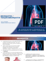 6 Bronquitis