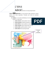 Fosa pterigomaxilar: límites y contenido