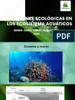 Relaciones Ecologicas en Los Ecosistemas Acuaticos