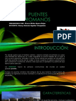 PUENTES R Bruce PDF