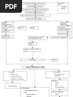 Pathophysio DHF EDITED