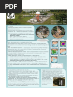 Sistemas de Alerta a Inundacoes_Poster_2011