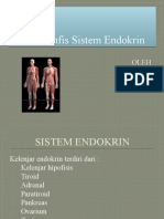 S. Endokrin