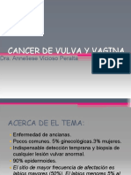 cancerdevulvayvagina-160523005547 1