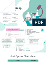 Clostridium SP (Kel 6)
