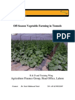 Tunnel Farming Report.pdf