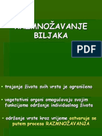 Razmnožavanje Bespolno