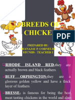 Breeds of Chicken: Prepared By: Dianajay P. Cornelio Stcnhs - Teacher I